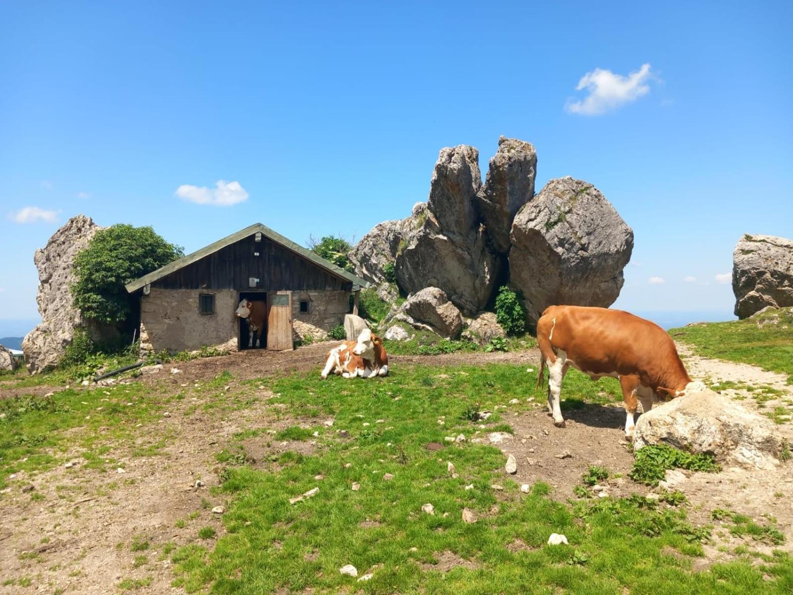 Ferienhaus Westerbuchberg Übersee Kültér fotó